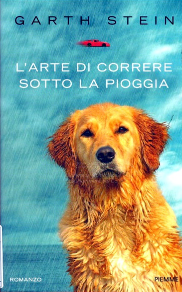 L'arte di correre sotto la pioggia - d--