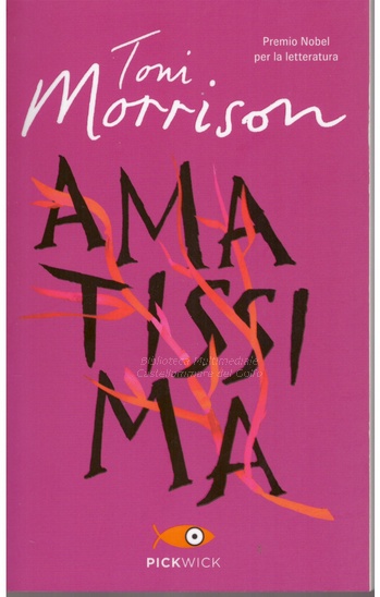 Amatissima - d--