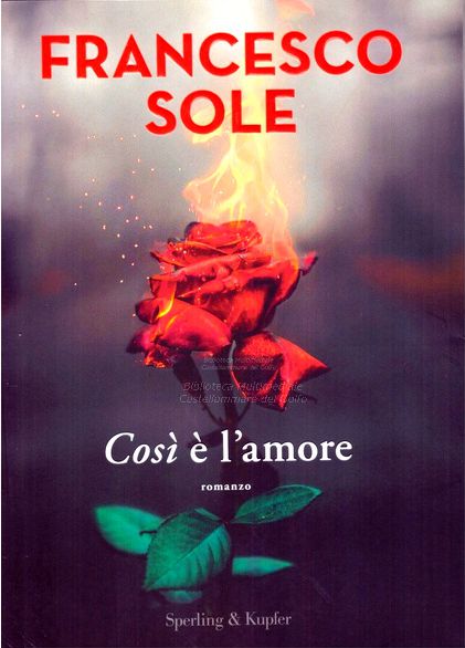 Così è l'amore - d--