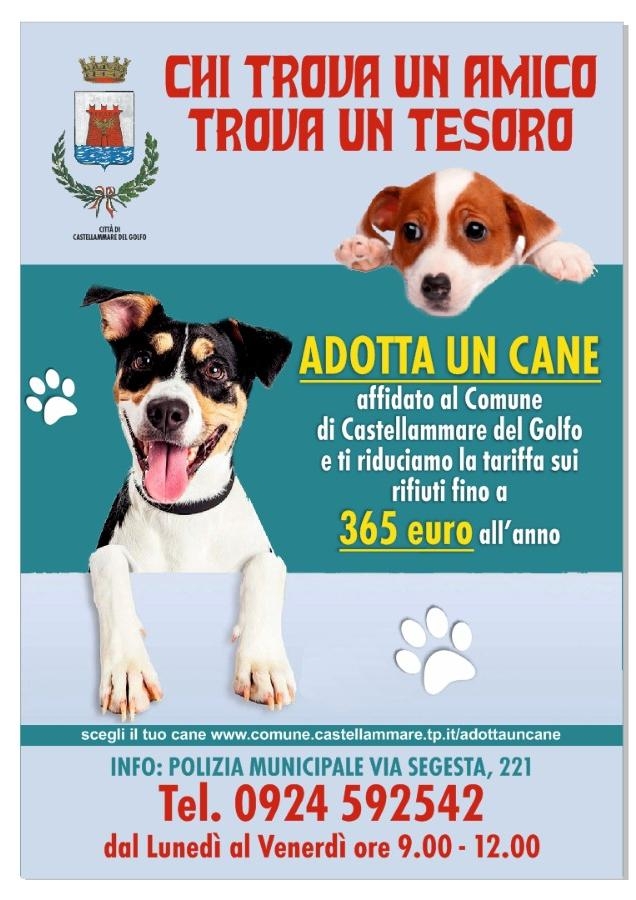 Adotta un cane